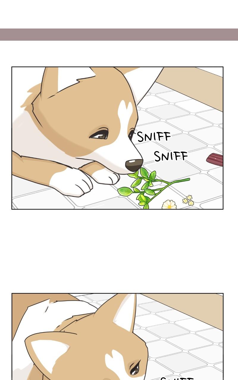 The Dog Diaries Chap 85 - Next Chap 86