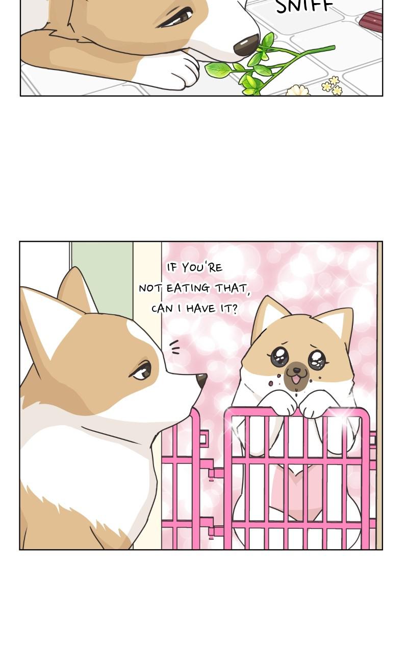 The Dog Diaries Chap 85 - Next Chap 86