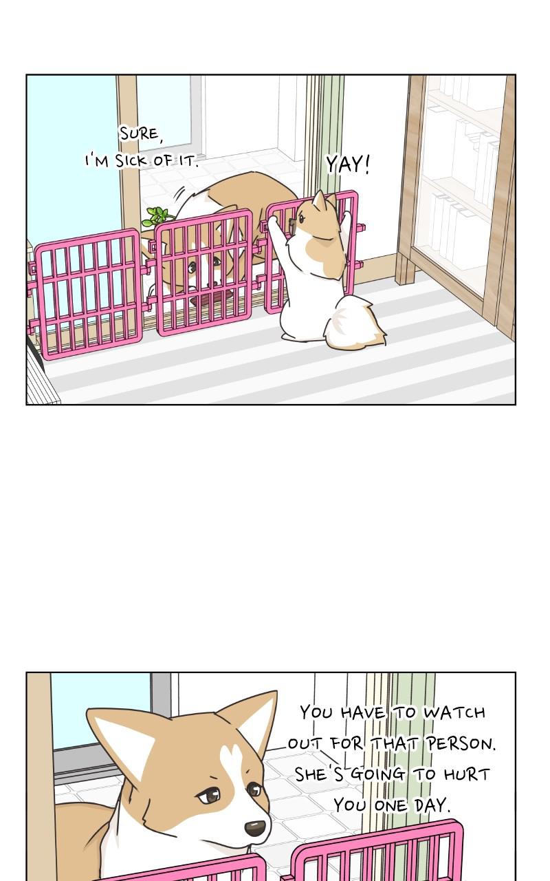 The Dog Diaries Chap 85 - Next Chap 86