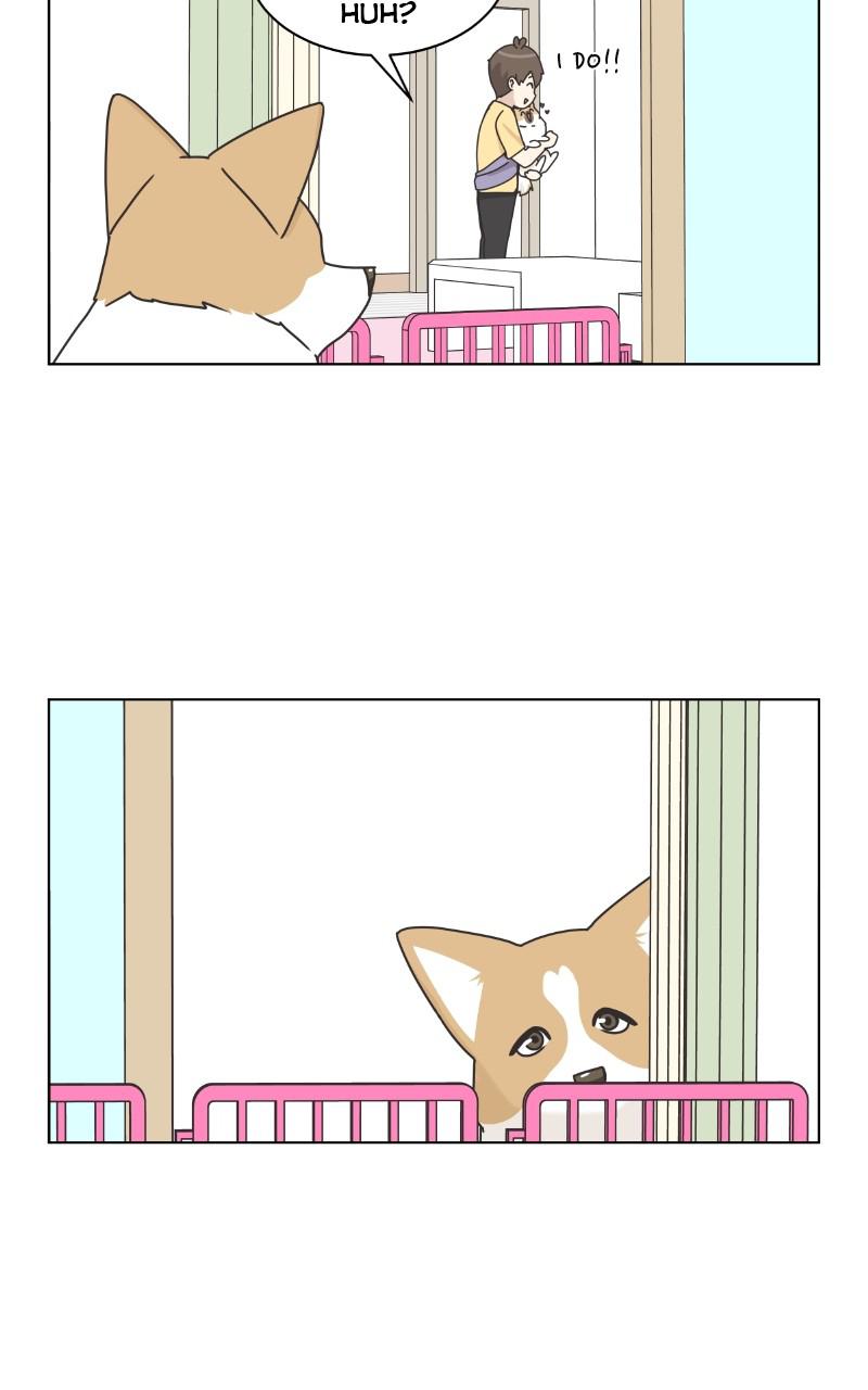 The Dog Diaries Chap 85 - Next Chap 86