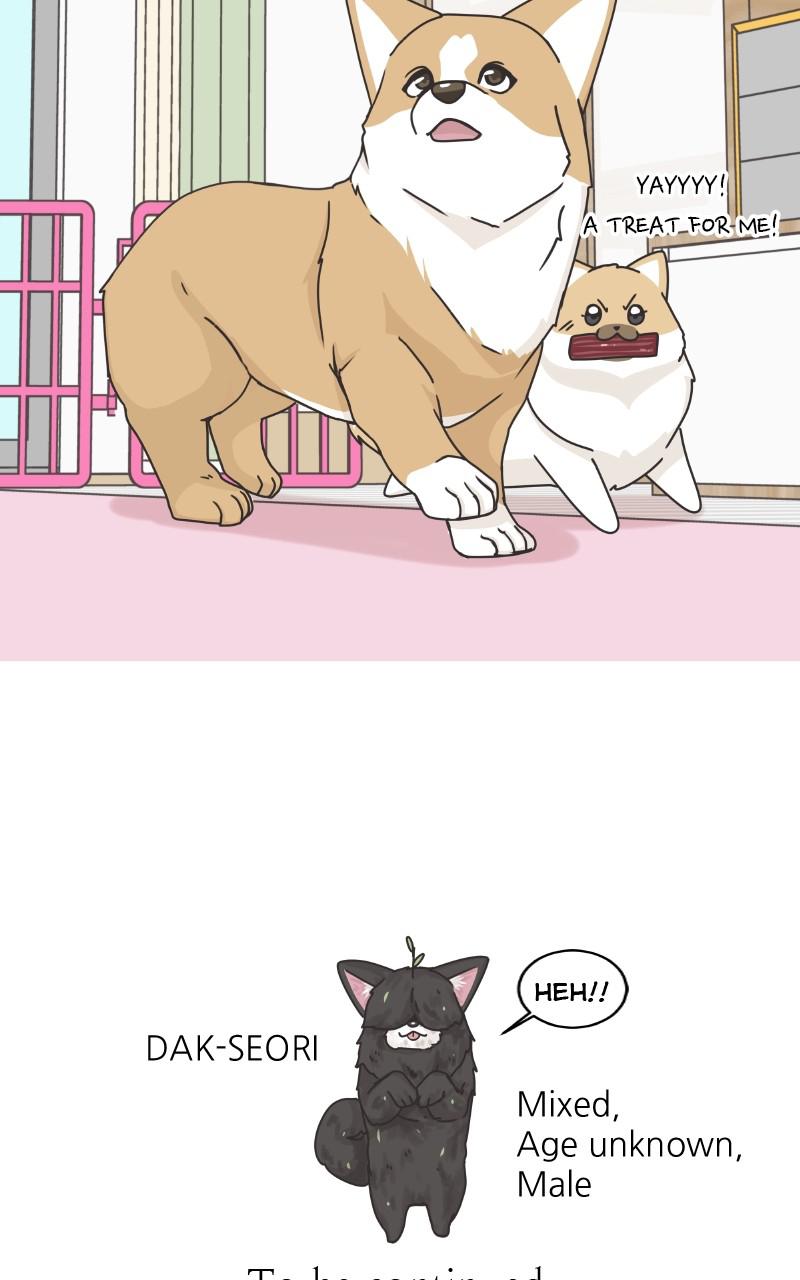 The Dog Diaries Chap 85 - Next Chap 86
