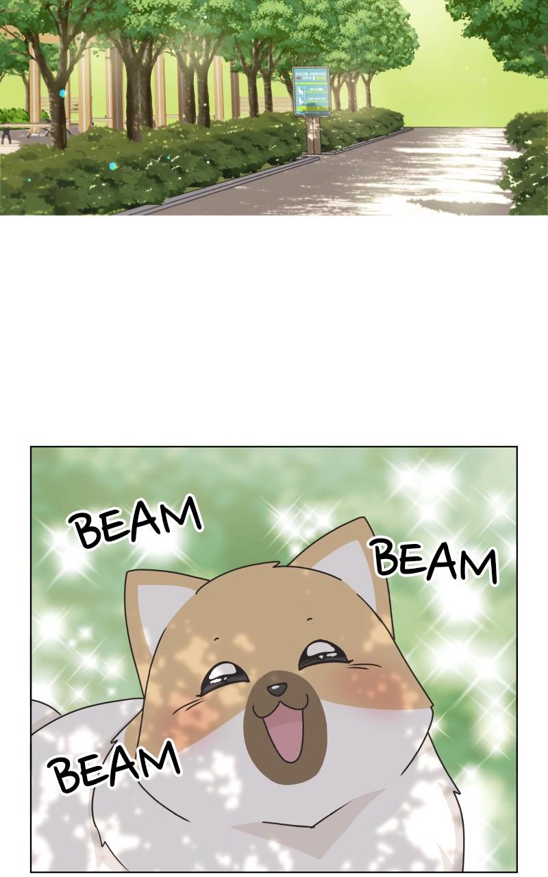 The Dog Diaries Chap 85 - Next Chap 86