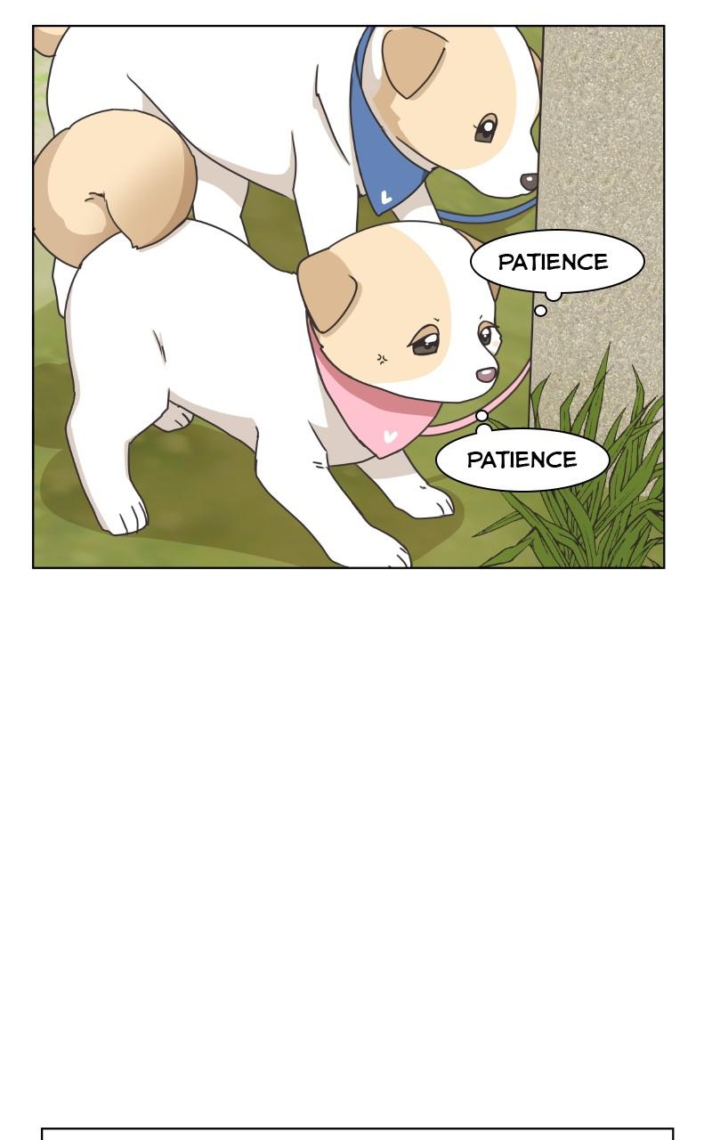 The Dog Diaries Chap 82 - Next Chap 83