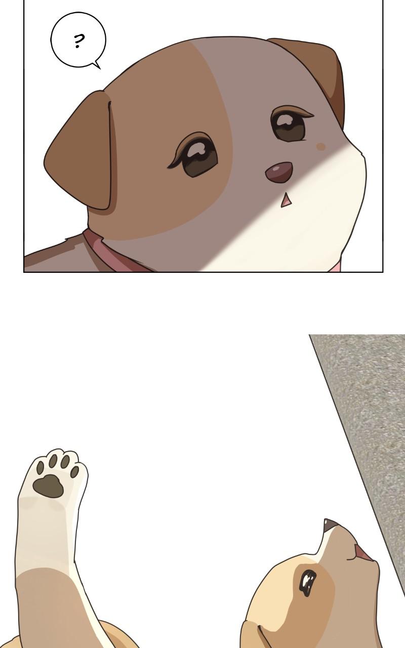 The Dog Diaries Chap 82 - Next Chap 83