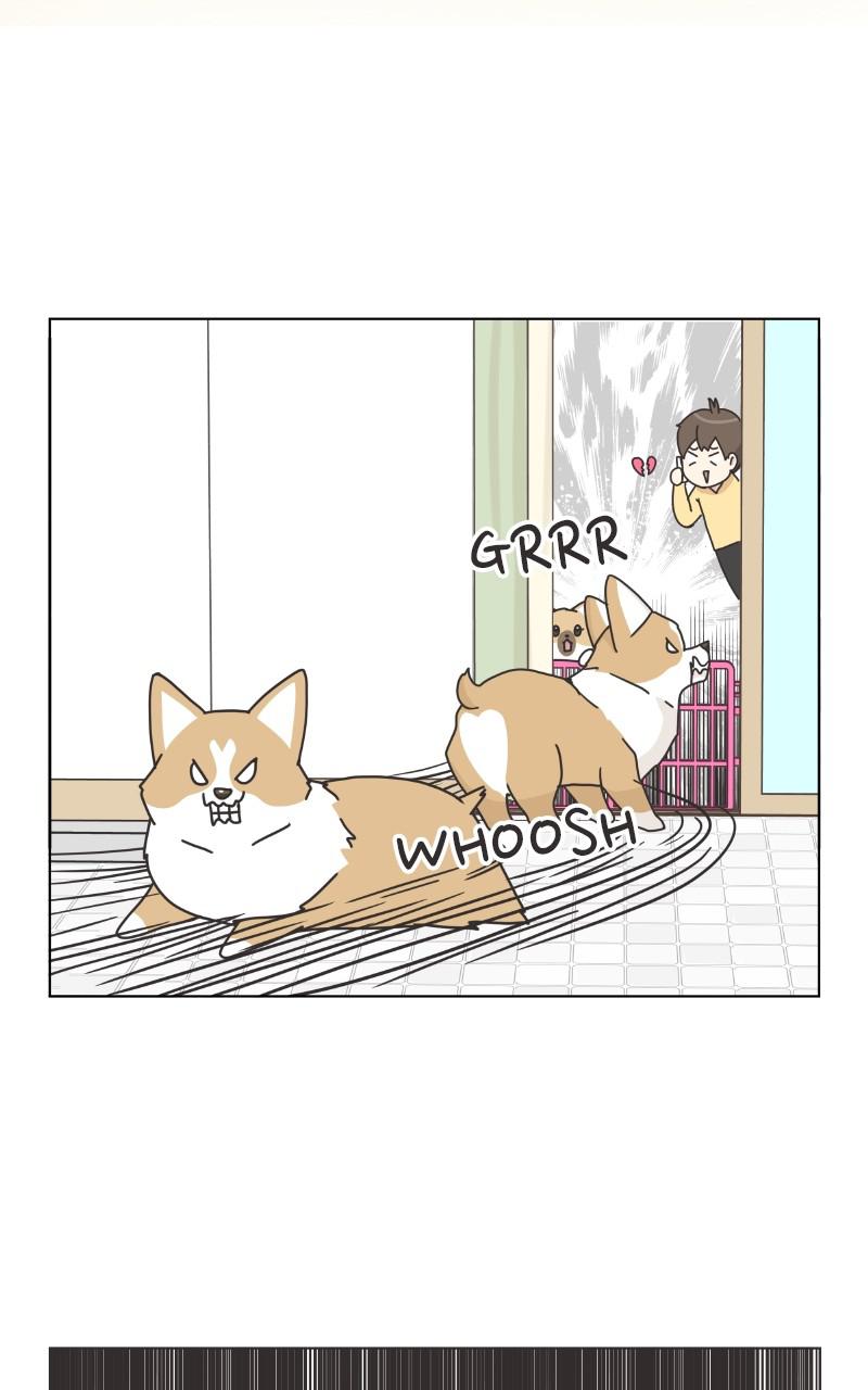 The Dog Diaries Chap 82 - Next Chap 83