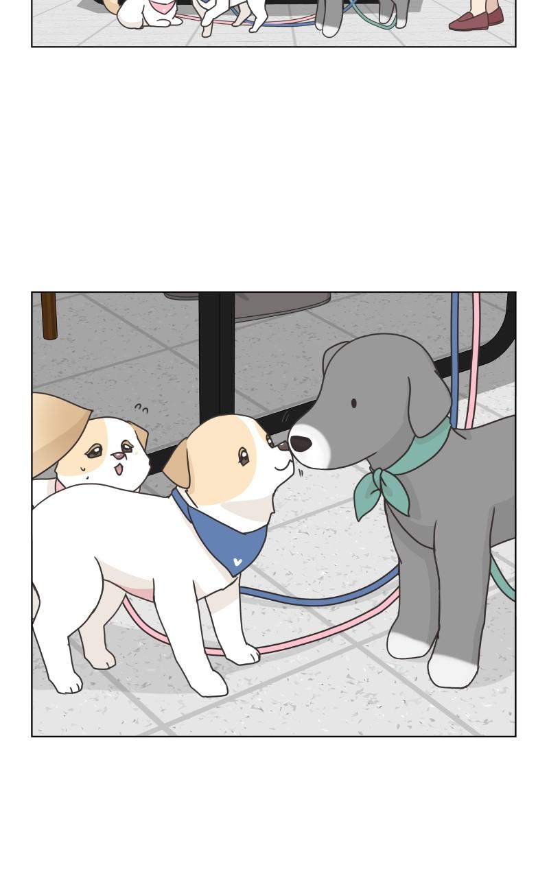 The Dog Diaries Chap 82 - Next Chap 83