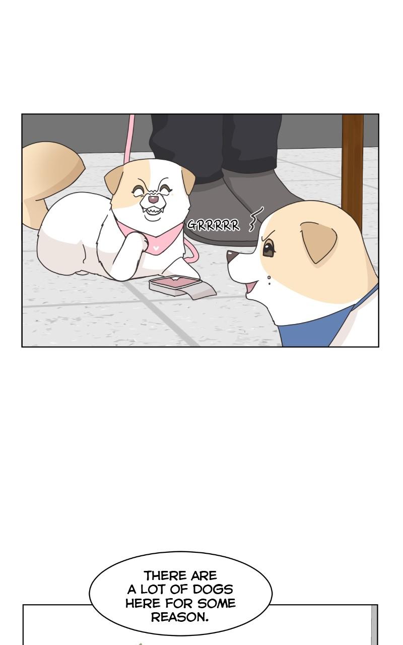 The Dog Diaries Chap 82 - Next Chap 83