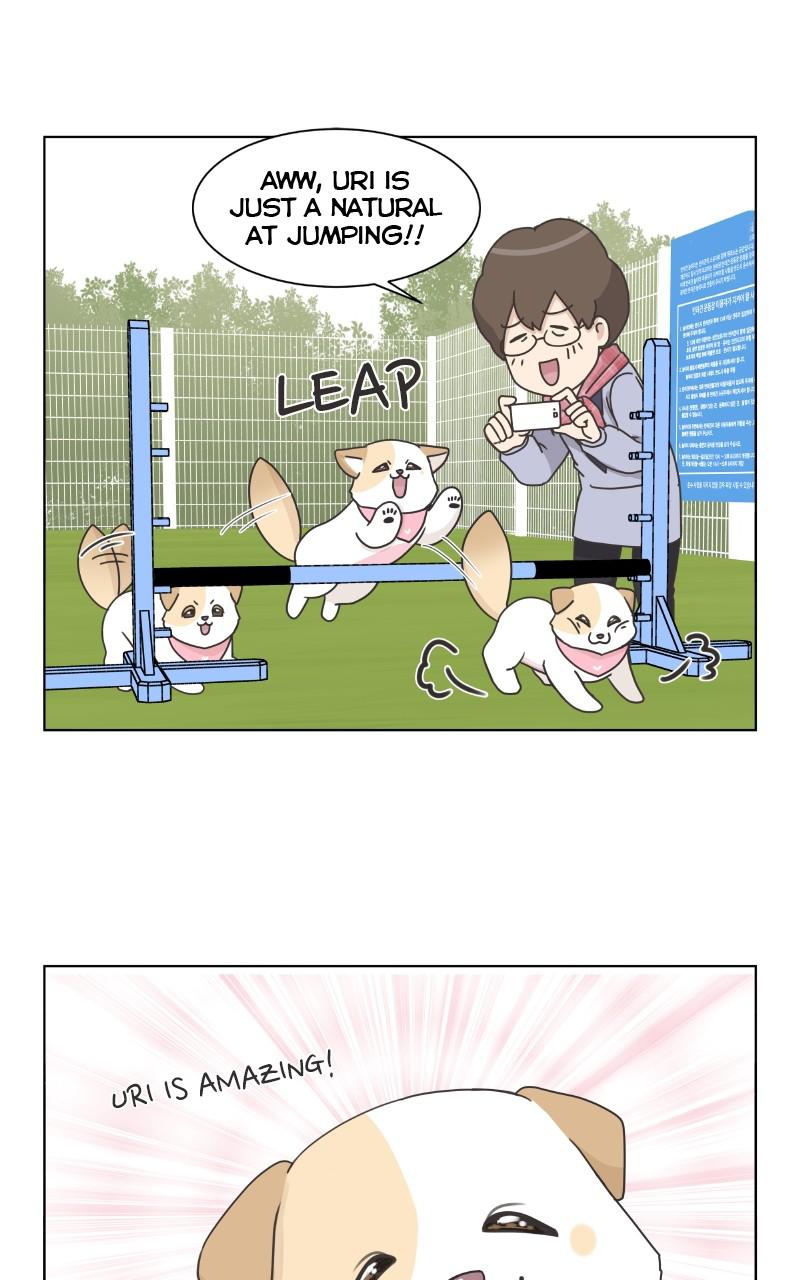 The Dog Diaries Chap 82 - Next Chap 83