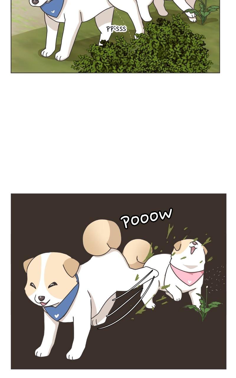 The Dog Diaries Chap 82 - Next Chap 83