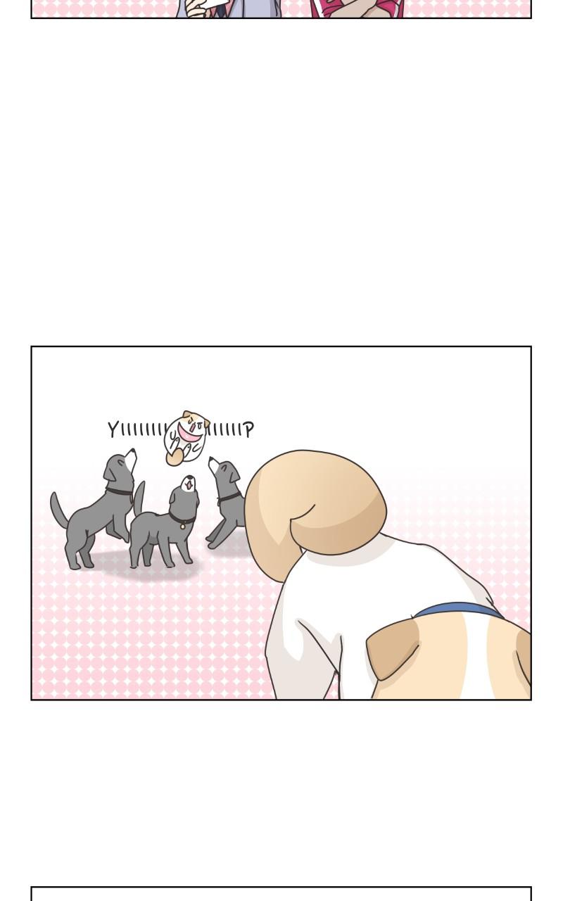 The Dog Diaries Chap 83 - Next Chap 84