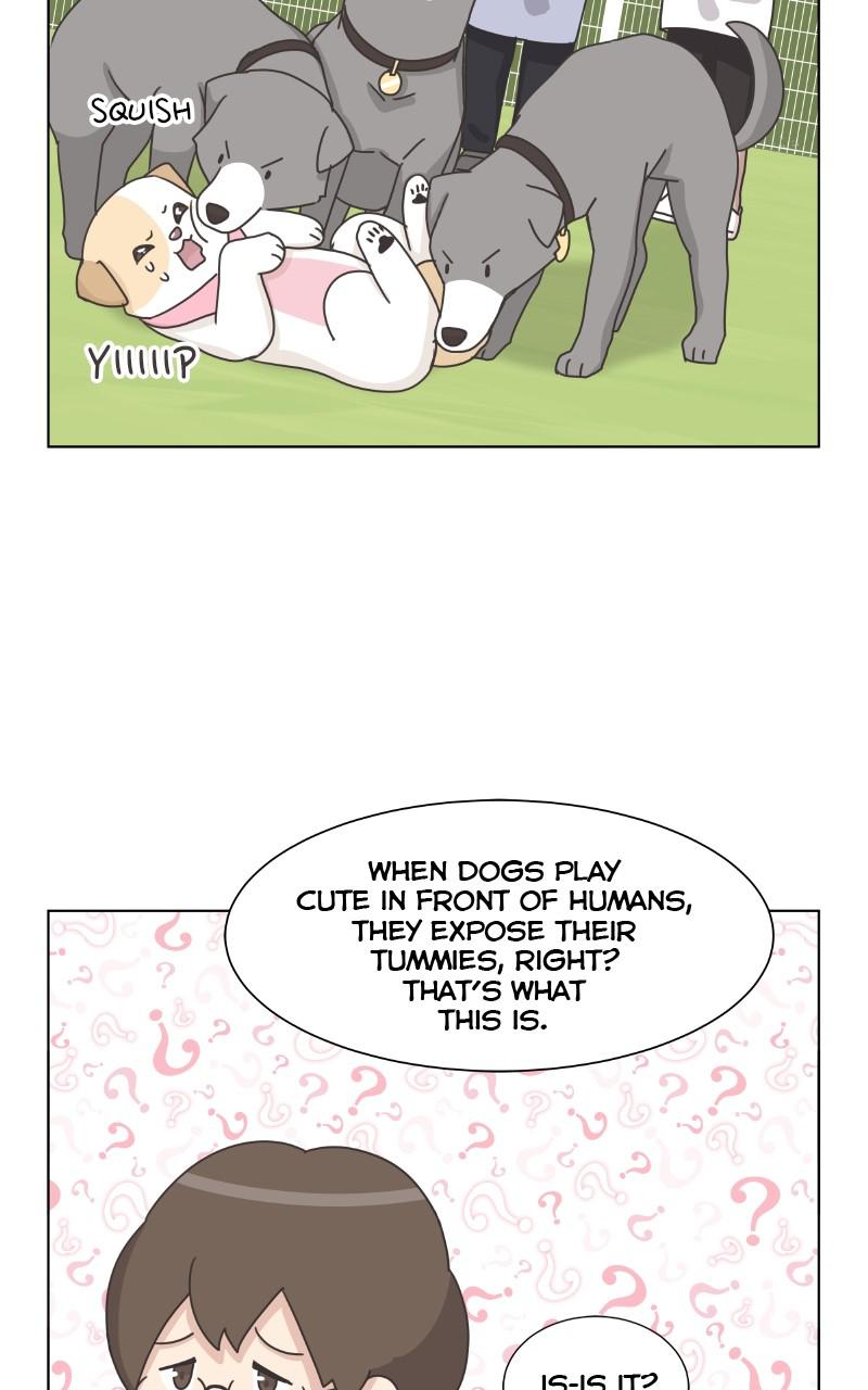 The Dog Diaries Chap 83 - Next Chap 84