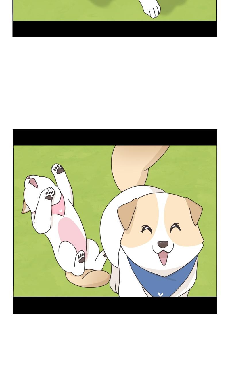 The Dog Diaries Chap 83 - Next Chap 84