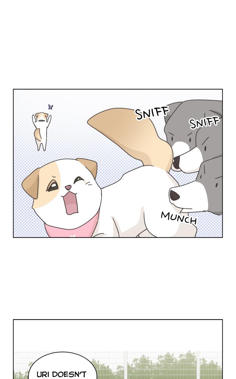 The Dog Diaries Chap 83 - Next Chap 84