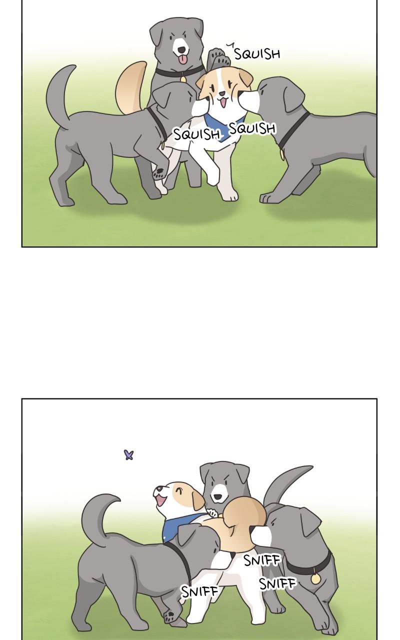 The Dog Diaries Chap 83 - Next Chap 84