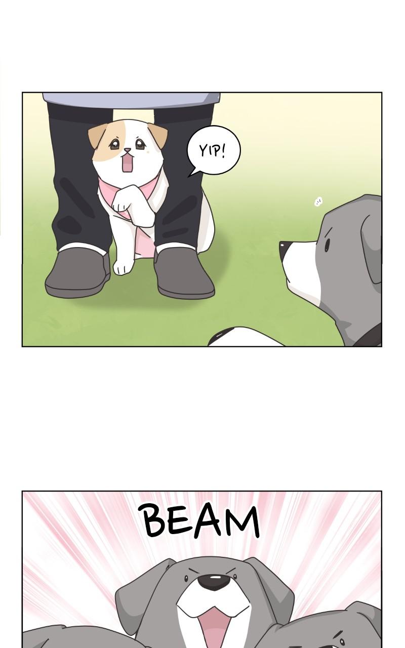 The Dog Diaries Chap 83 - Next Chap 84