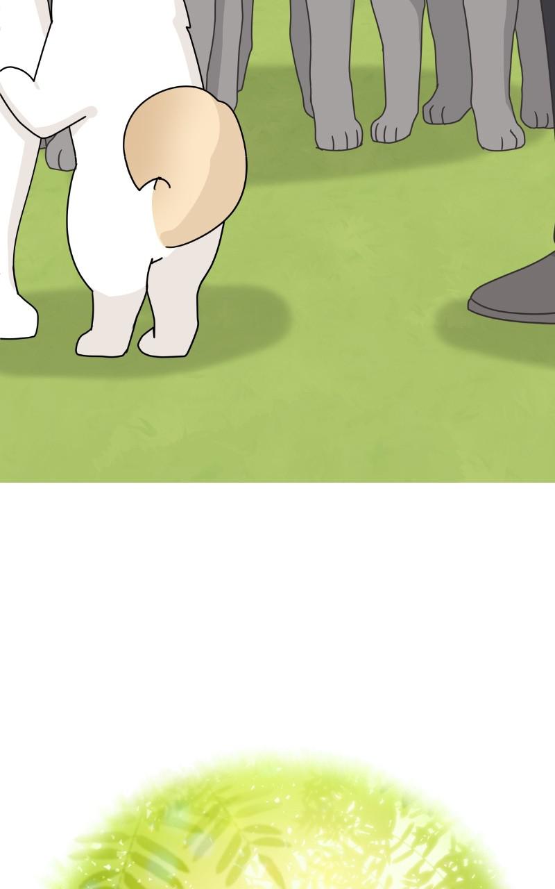 The Dog Diaries Chap 83 - Next Chap 84