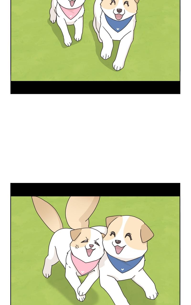 The Dog Diaries Chap 83 - Next Chap 84