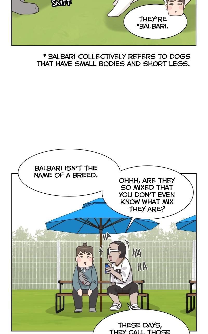 The Dog Diaries Chap 83 - Next Chap 84