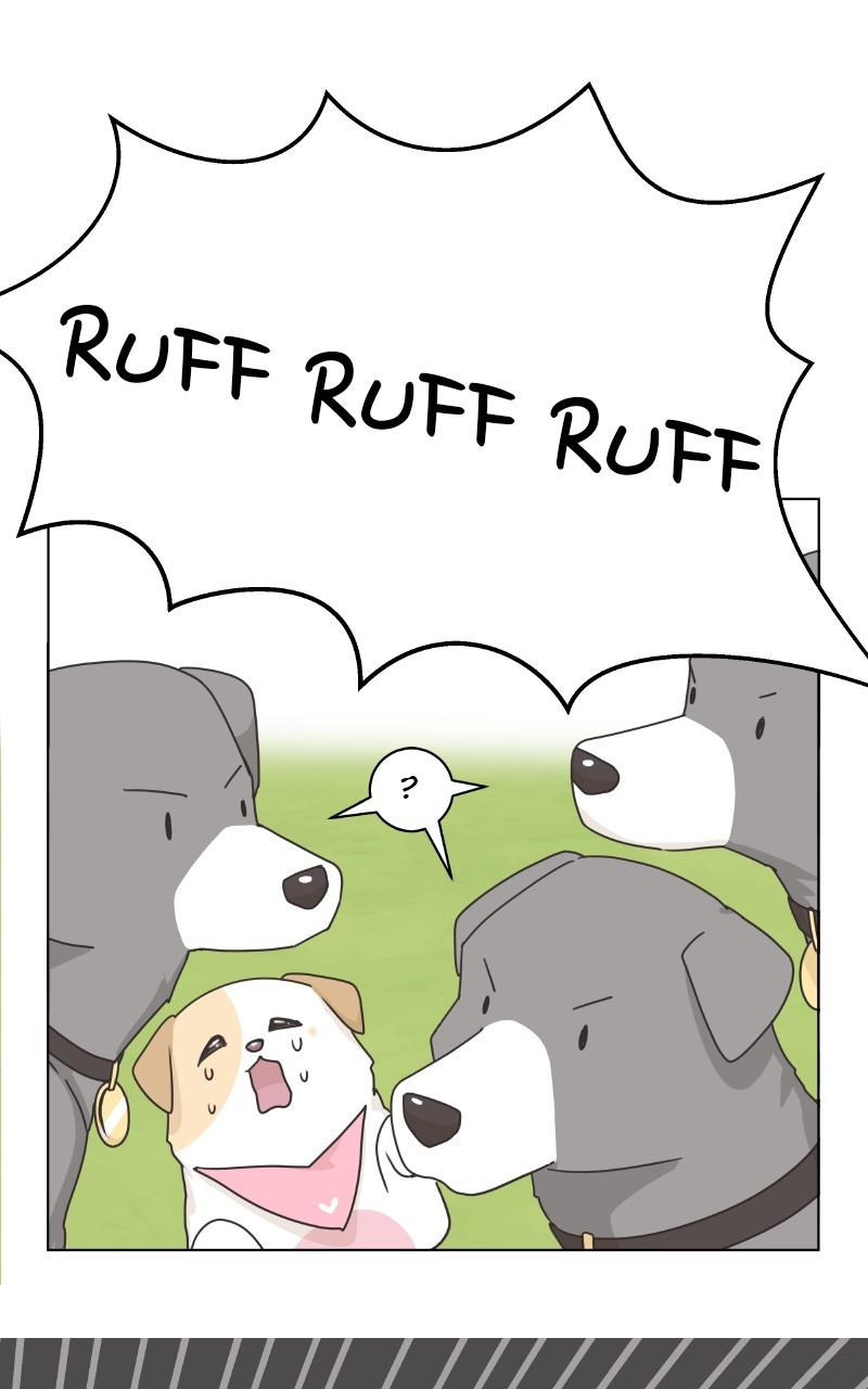 The Dog Diaries Chap 83 - Next Chap 84