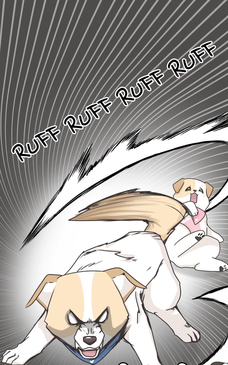 The Dog Diaries Chap 83 - Next Chap 84