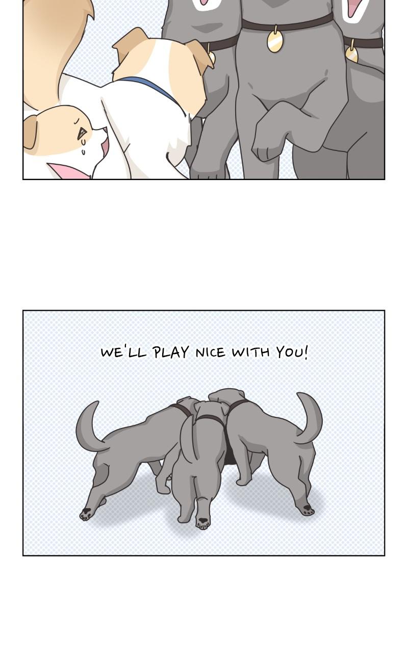The Dog Diaries Chap 83 - Next Chap 84