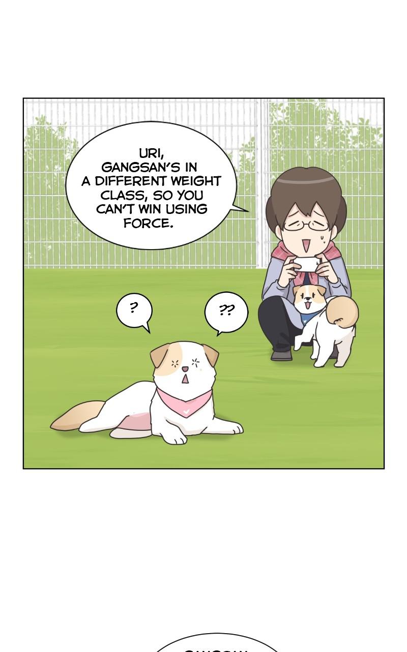 The Dog Diaries Chap 83 - Next Chap 84