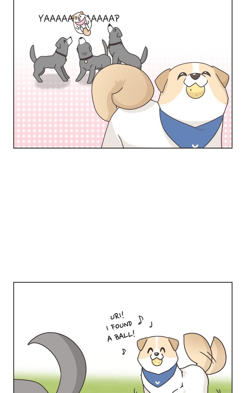 The Dog Diaries Chap 83 - Next Chap 84