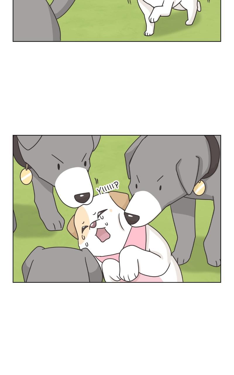 The Dog Diaries Chap 83 - Next Chap 84