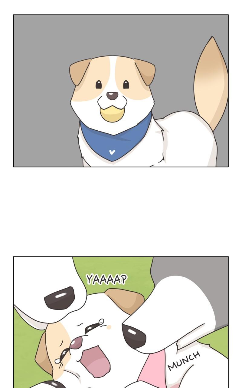 The Dog Diaries Chap 83 - Next Chap 84