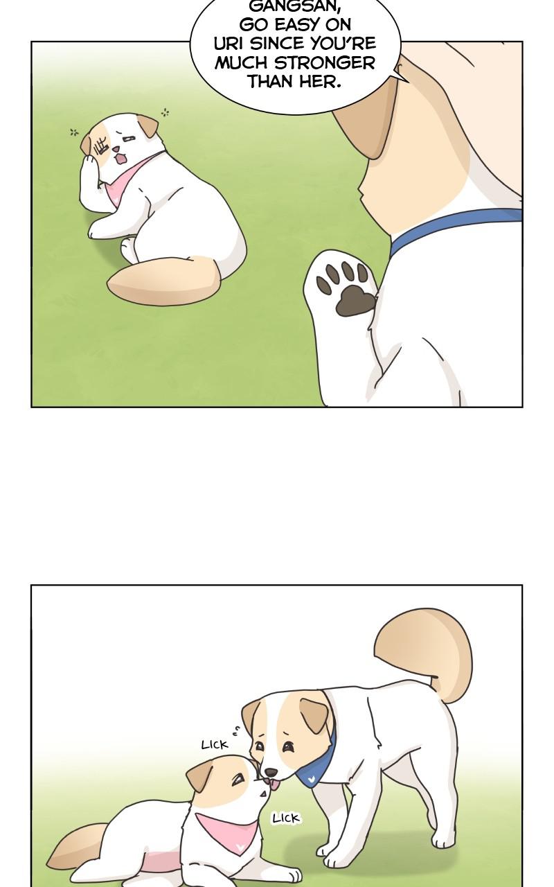 The Dog Diaries Chap 83 - Next Chap 84