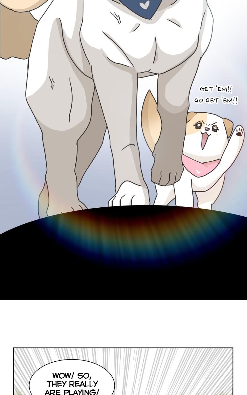 The Dog Diaries Chap 83 - Next Chap 84