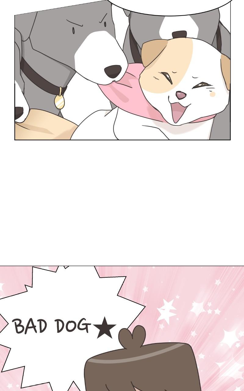The Dog Diaries Chap 84 - Next Chap 85