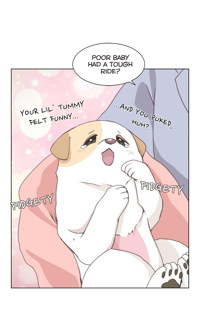 The Dog Diaries Chap 84 - Next Chap 85