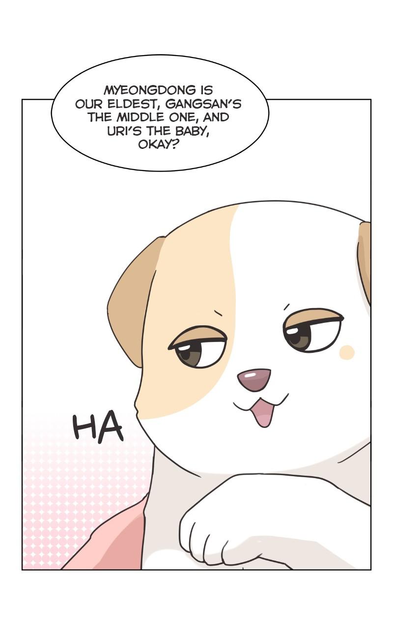 The Dog Diaries Chap 84 - Next Chap 85