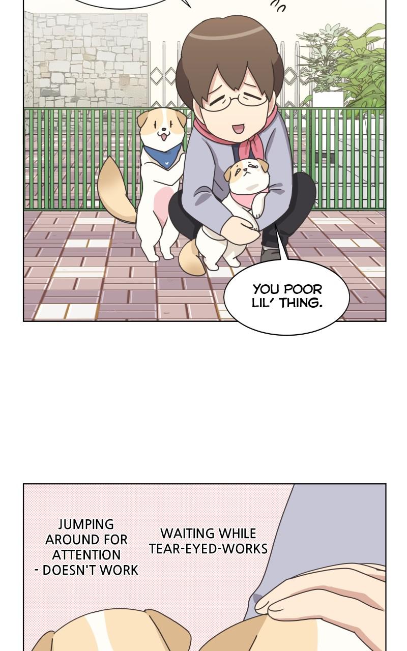 The Dog Diaries Chap 84 - Next Chap 85
