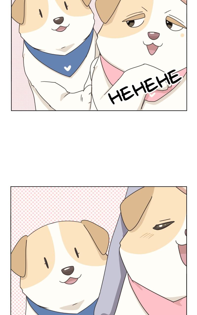 The Dog Diaries Chap 84 - Next Chap 85