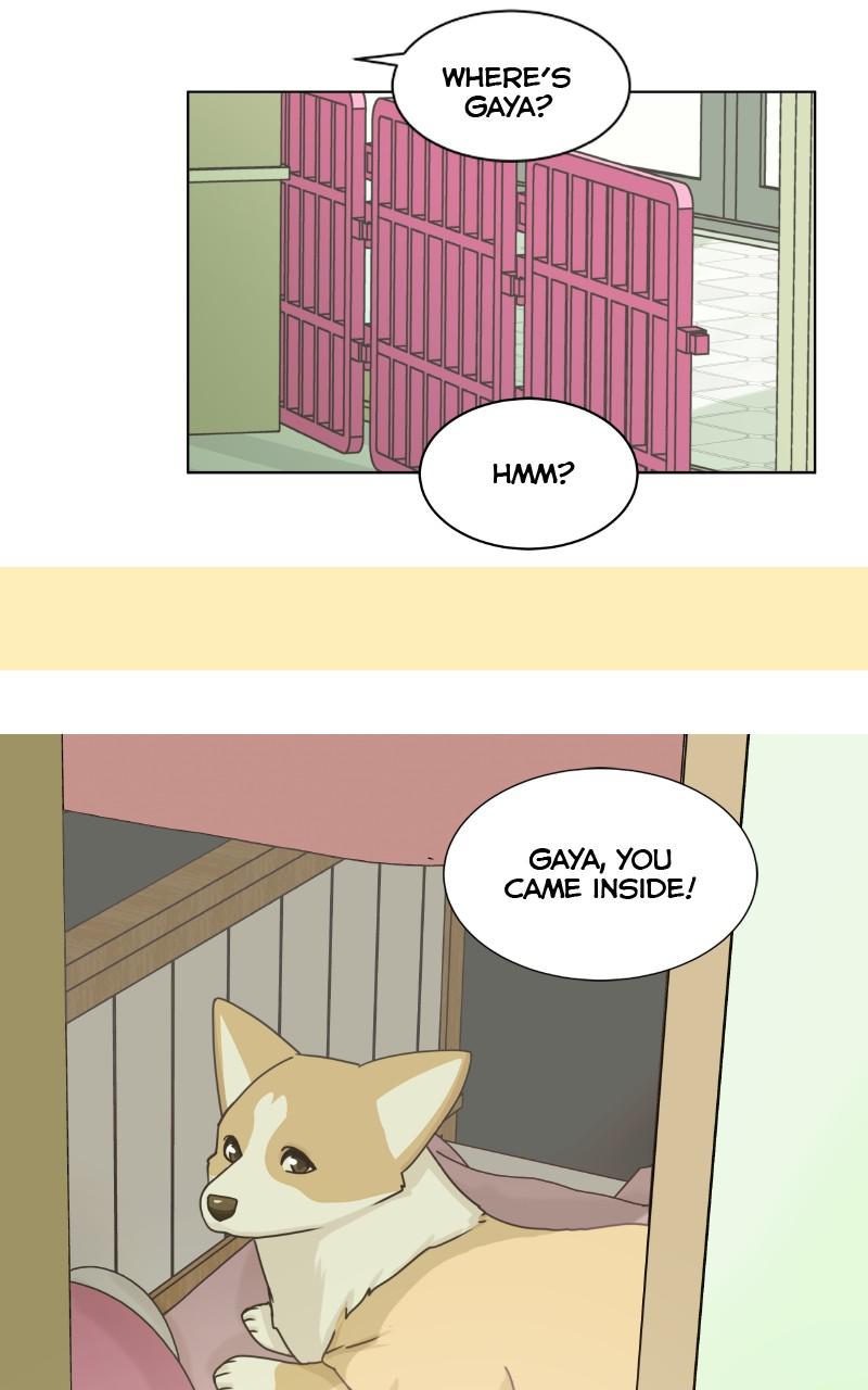 The Dog Diaries Chap 86 - Next Chap 87