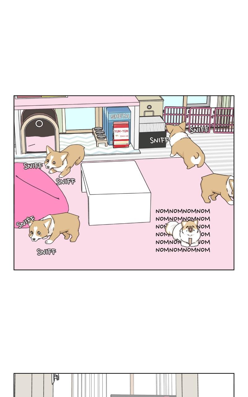 The Dog Diaries Chap 86 - Next Chap 87