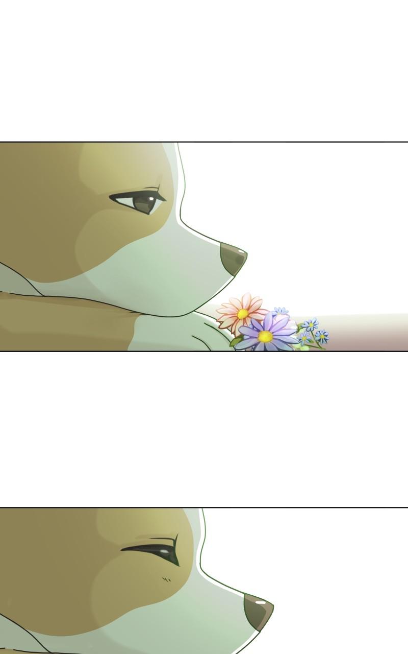 The Dog Diaries Chap 86 - Next Chap 87