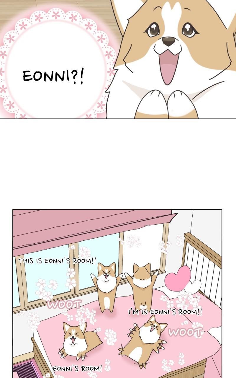 The Dog Diaries Chap 86 - Next Chap 87