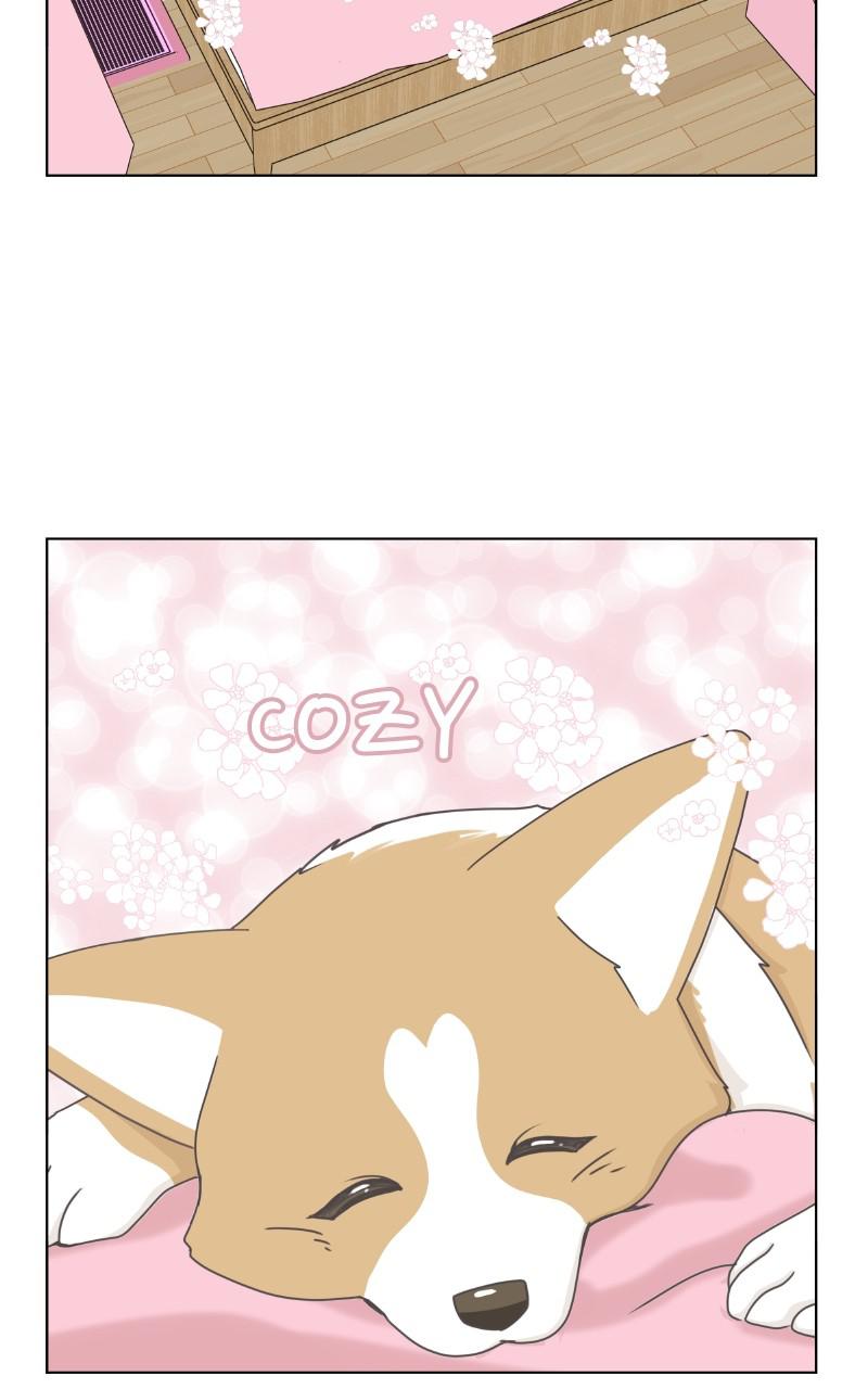 The Dog Diaries Chap 86 - Next Chap 87