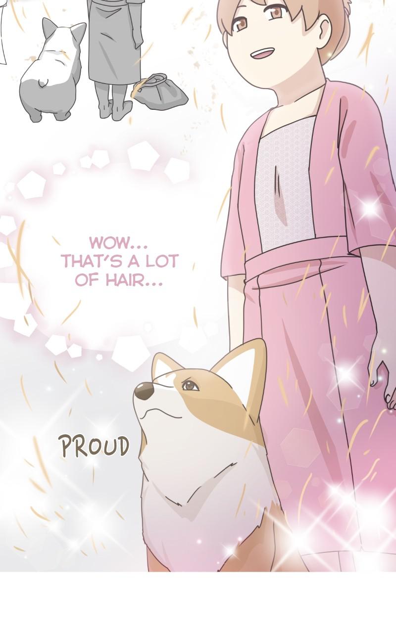 The Dog Diaries Chap 87 - Next Chap 88