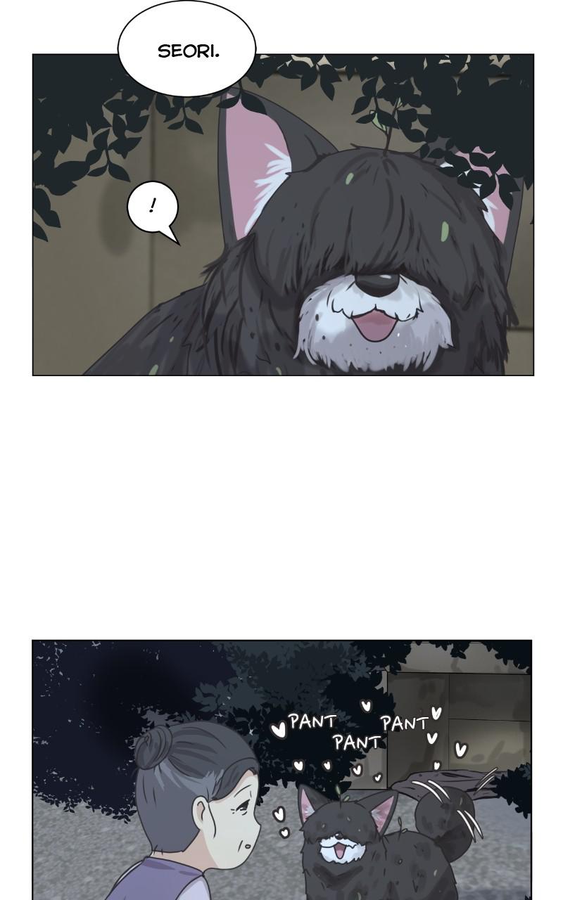The Dog Diaries Chap 87 - Next Chap 88