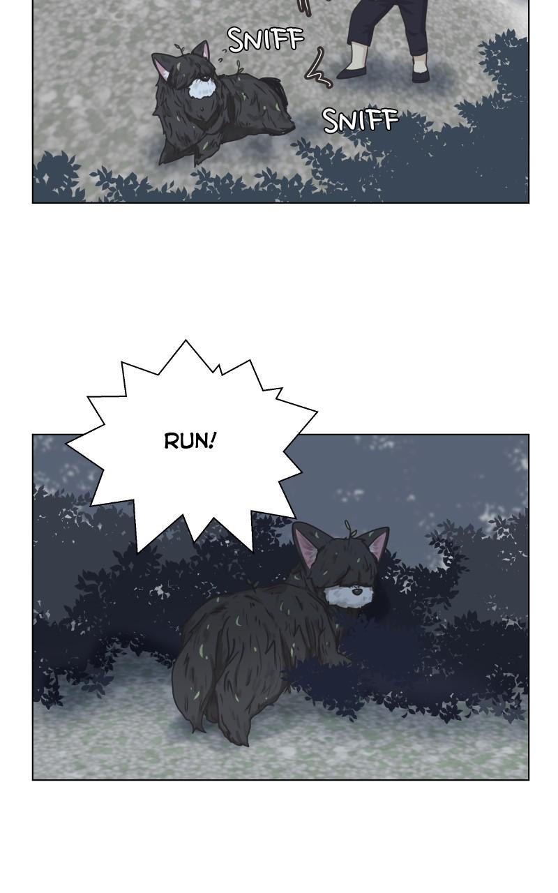 The Dog Diaries Chap 87 - Next Chap 88