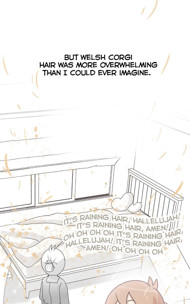 The Dog Diaries Chap 87 - Next Chap 88