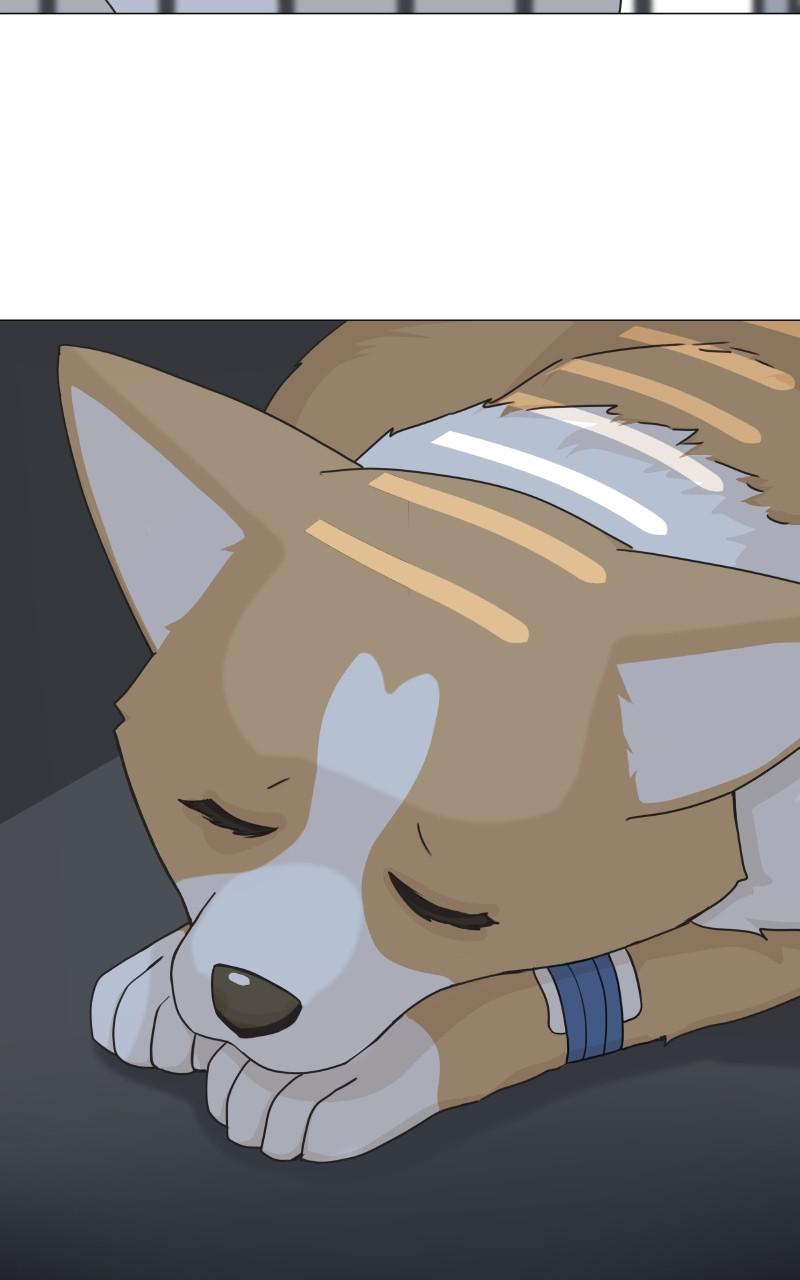 The Dog Diaries Chap 78 - Next Chap 79