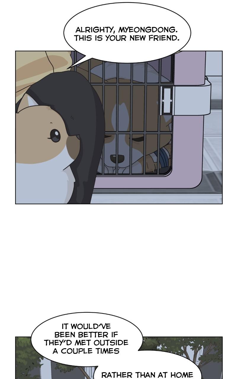 The Dog Diaries Chap 78 - Next Chap 79