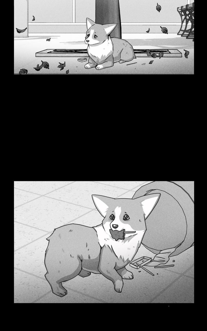 The Dog Diaries Chap 78 - Next Chap 79