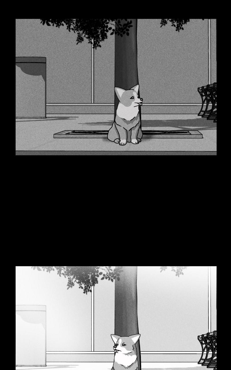 The Dog Diaries Chap 78 - Next Chap 79