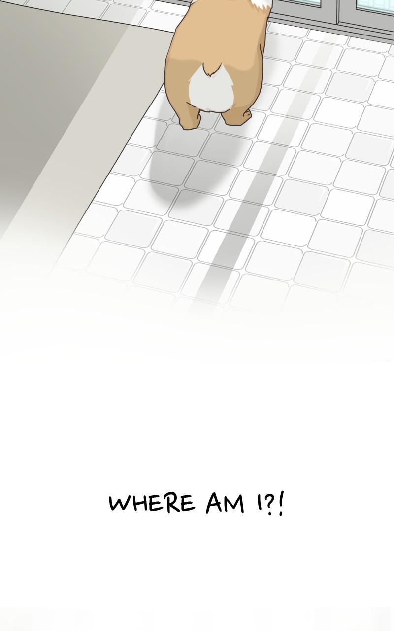 The Dog Diaries Chap 78 - Next Chap 79